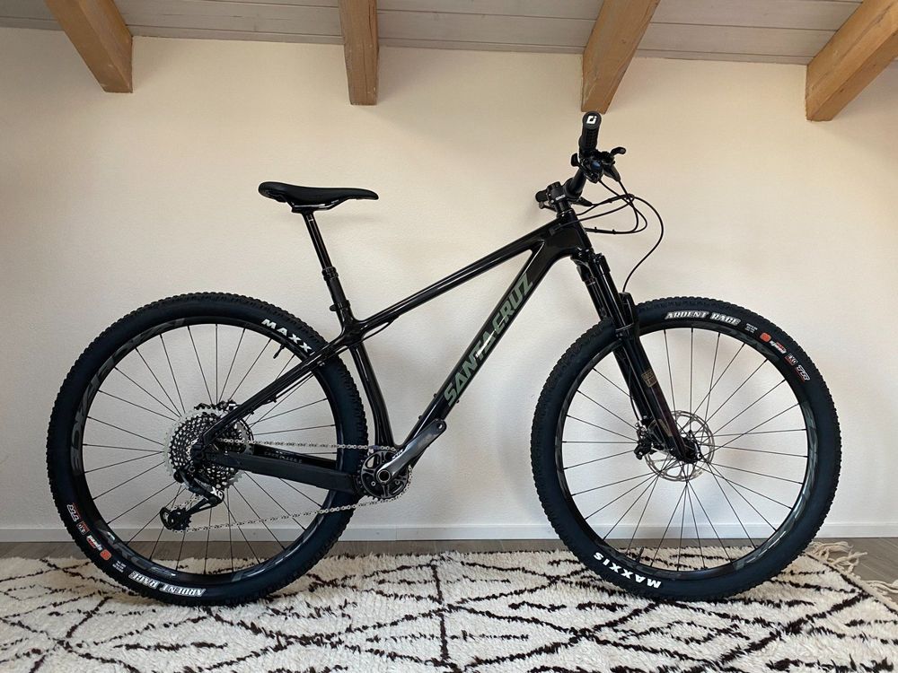 2020 santa deals cruz chameleon