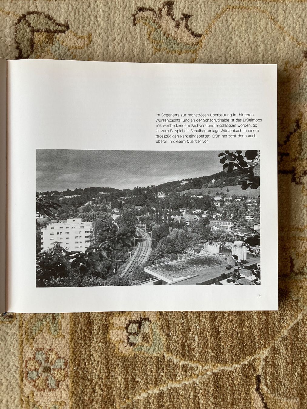 Libri: Michael Riedler : So veränderte sich Luzern – Usato da Niederuzwil venduto da Clara-Marie 4