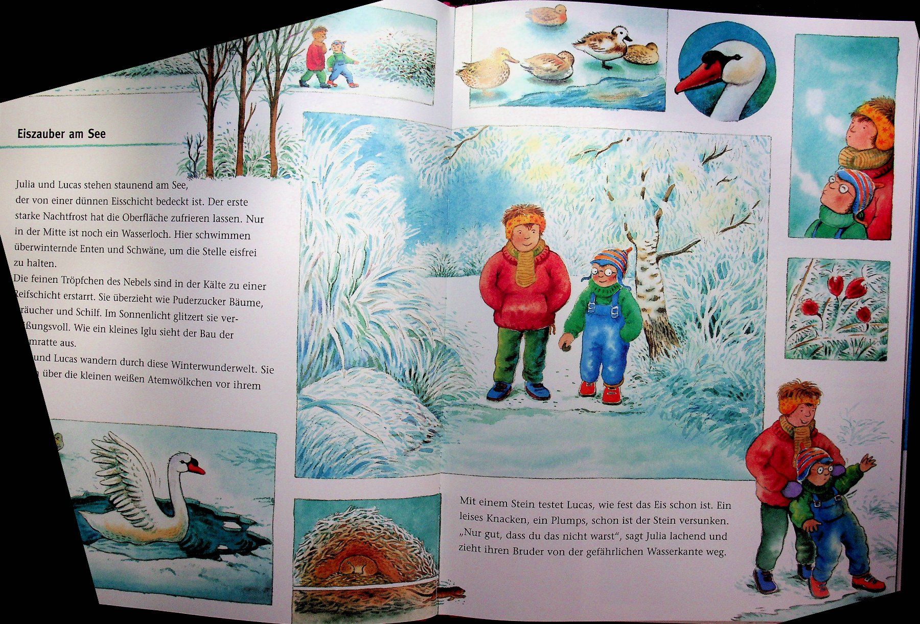 Libri: Minte-König/Döring Komm mit wir entdecken den Winter – Usato da Reitnau venduto da Zaomir 3