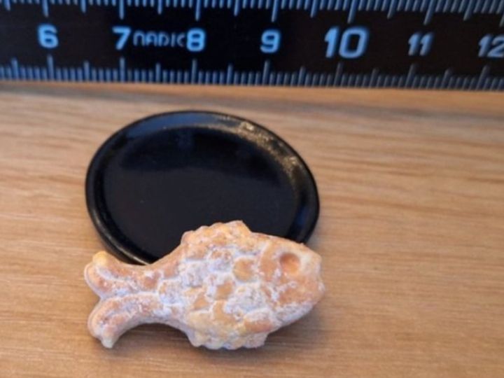 Case e mobili per bambole: Puppenhaus Chilbi Mandel Fisch – Nuovo (secondo la descrizione) da Zürich venduto da HandmadeTinyFood 1