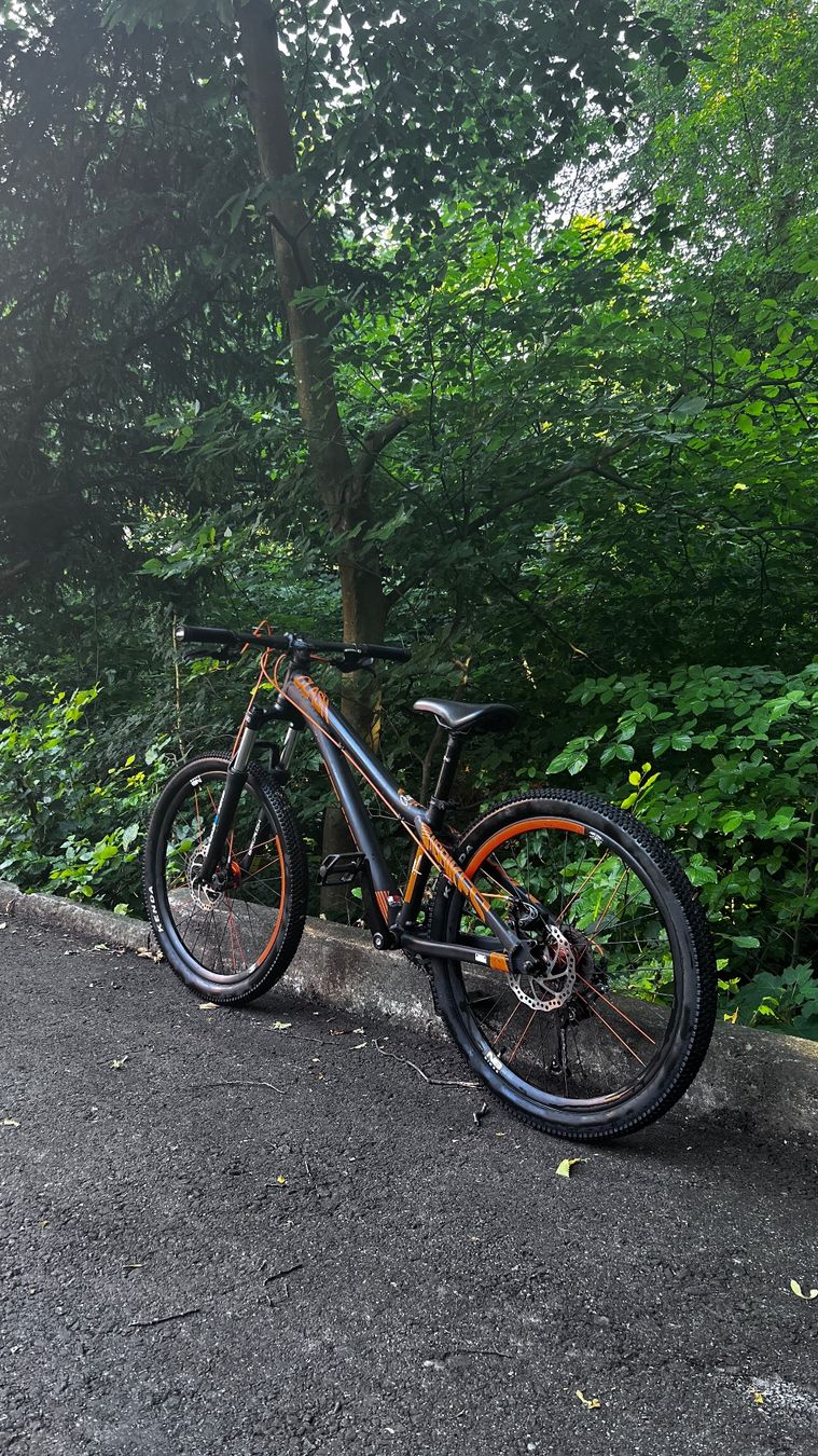 Velos: Ns Bikes clash 24 mit Scheibenbremsen. – Gebraucht aus zürich von landy88 1