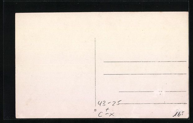 Cartes postales: Foto-AK Hedingen, Sängertag 1930, Auftr – D'occasion à Berlin par bartko-reher 1