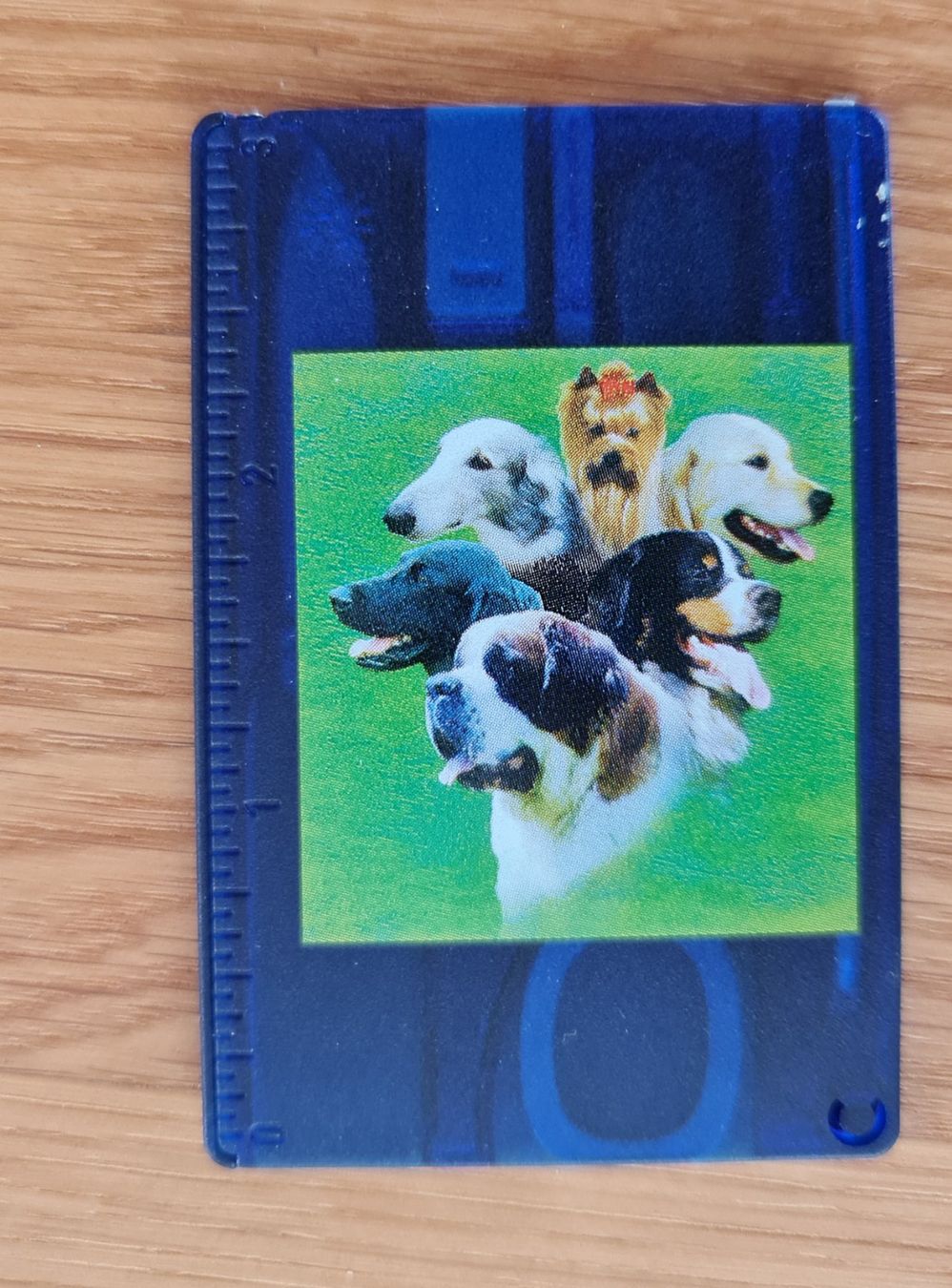 Victorinox Taschenmesser: Victorinox Swiss Card blau – Neu (gemäss Beschreibung) aus Sempach Station von Semion 4