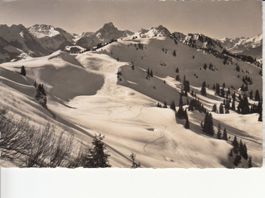Saanenmöser 1951