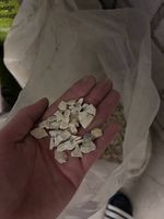 Dekokies / Splitt / Steine