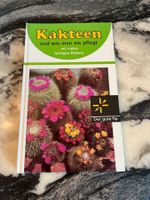 Kakteen