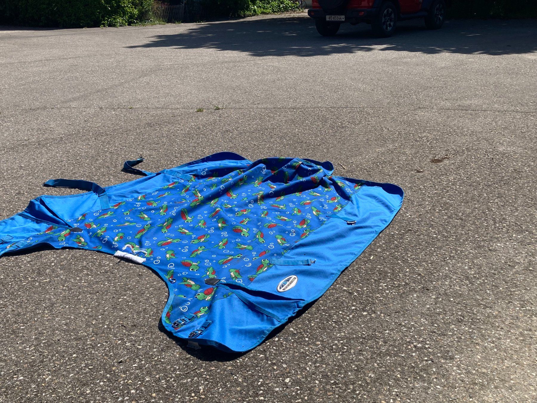 Coperte: Couverture Weatherbeeta comfitec neuve – Usato da La Rippe venduto da pommme