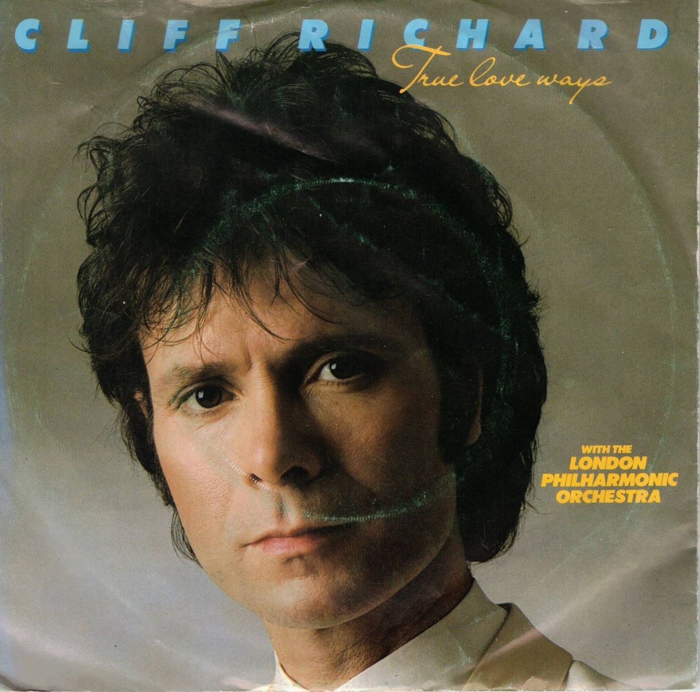 Dischi in vinile: Single7   Cliff Richard  -- True love ways – Usato da Rheinau venduto da thealbum