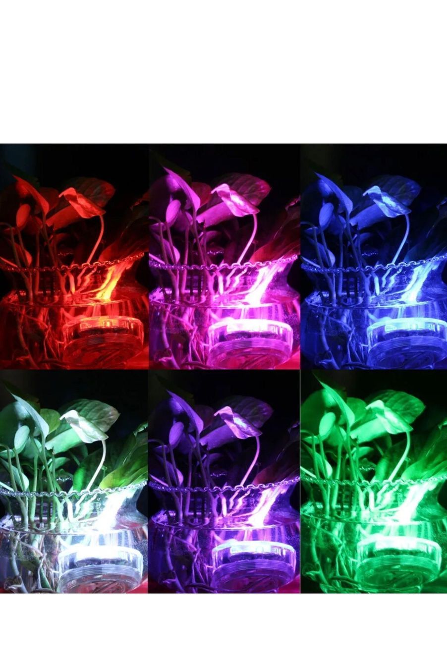 Piscine: +4X RGB LED Poolleuchte Schwimmbecken – Nuovo e nell'imballaggio originale da Amriswil venduto da JaJa-Express 9