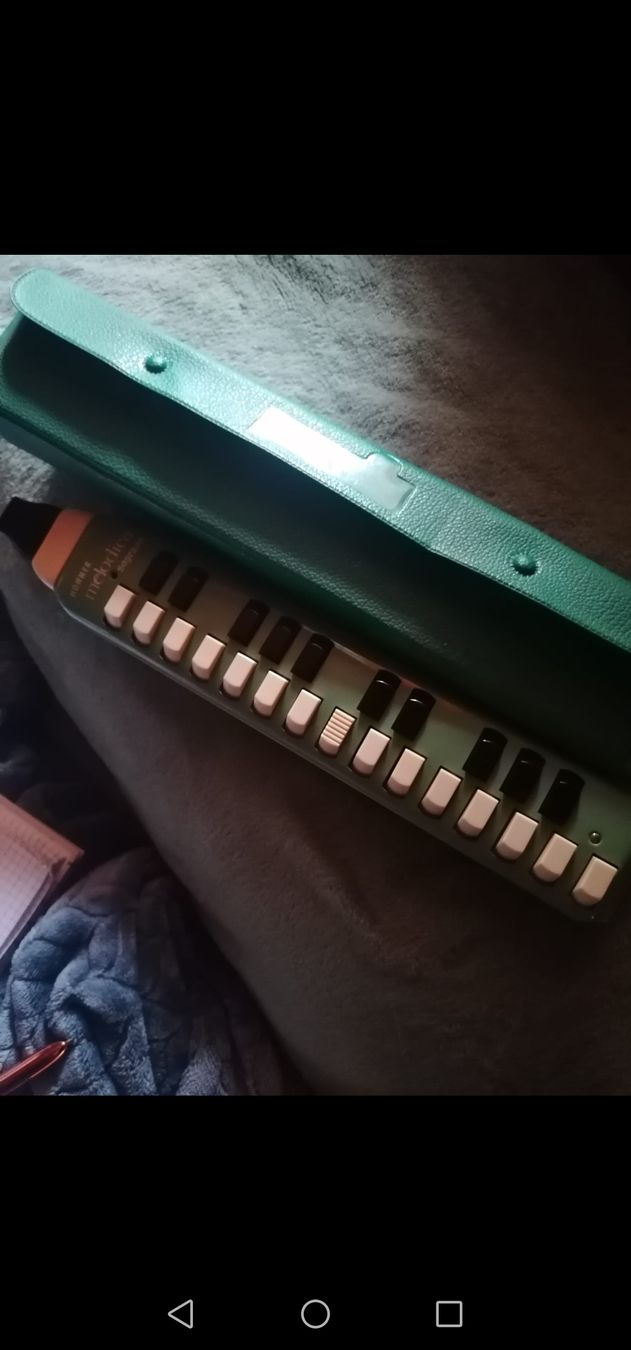 Hohner Strumenti musicali: Gut erhaltene Melodika mit Koffer, – Usato da Boniswil venduto da 1988liringreen 1