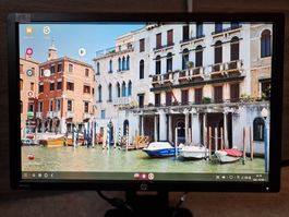 HP Z24i HD Monitor