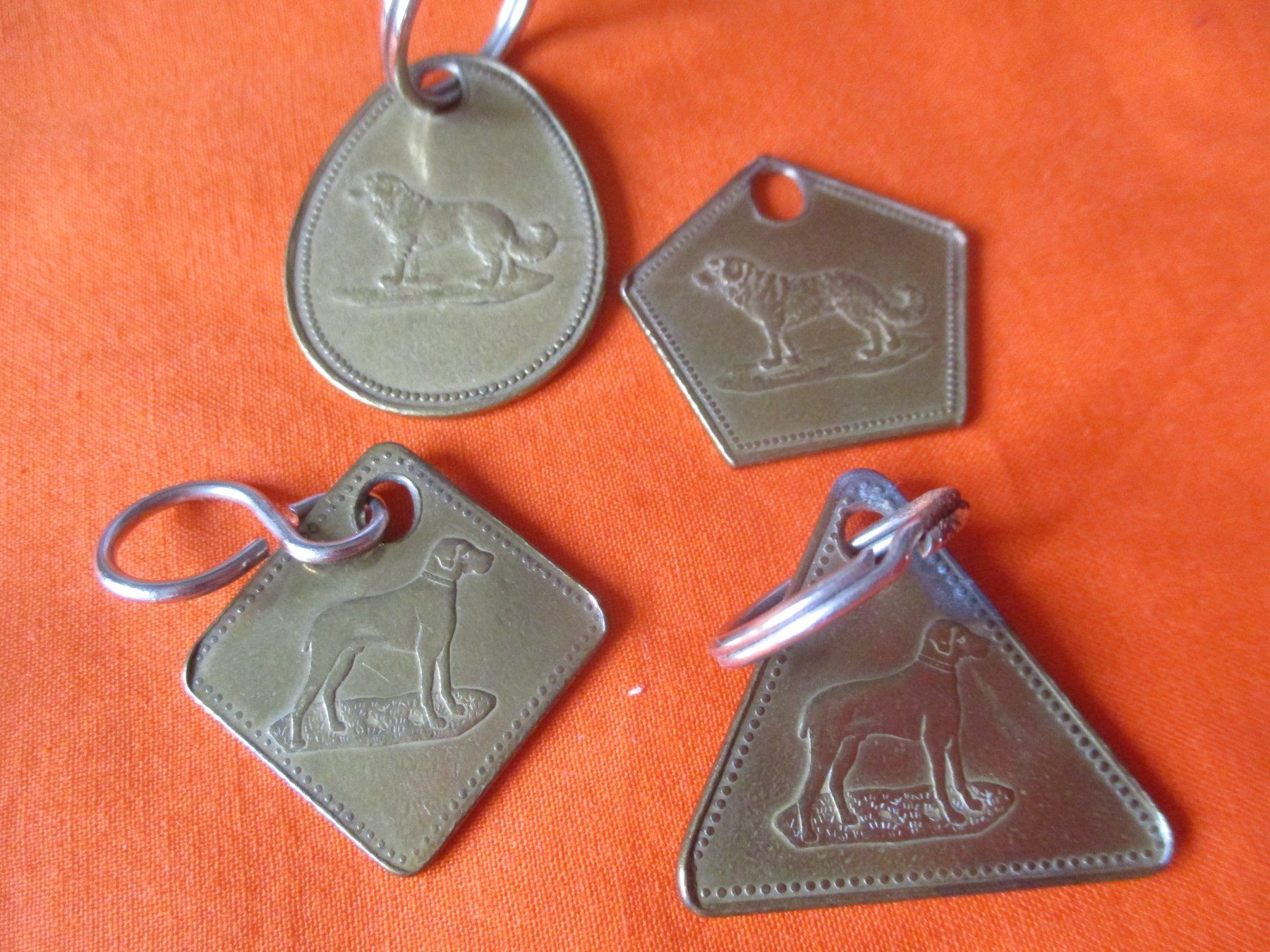 Medaglie: Hundemarke Basel 1953 - 1962 – Usato da Birsfelden venduto da alles-muss-raus 1