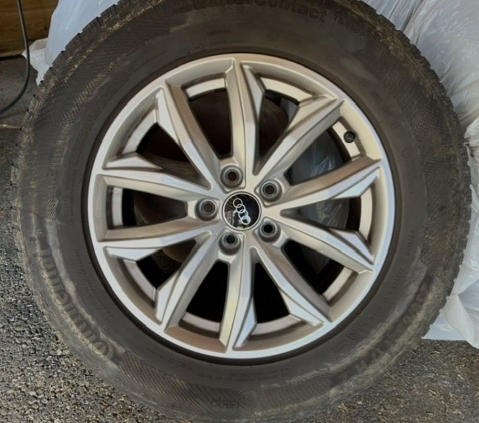 Audi Cerchioni: Jantes Audi – Usato da Servion venduto da sap_w8wg