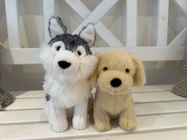 Husky/Golden Retriever Plüschtiere