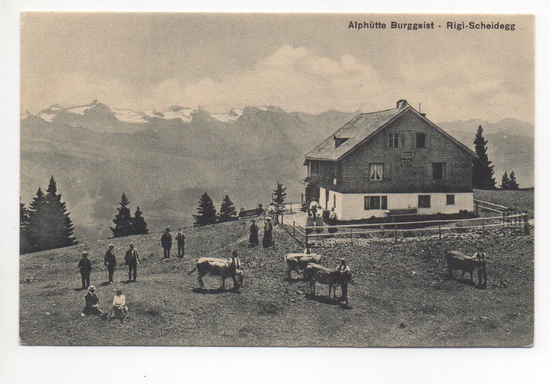 Cartoline postali: RIGI-SCHEIDEGG Alphütte Burggeist, Bauer mit Kühen – Nuovo (secondo la descrizione) da Jona venduto da philajona