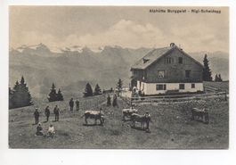 RIGI-SCHEIDEGG Alphütte Burggeist, Bauer mit Kühen