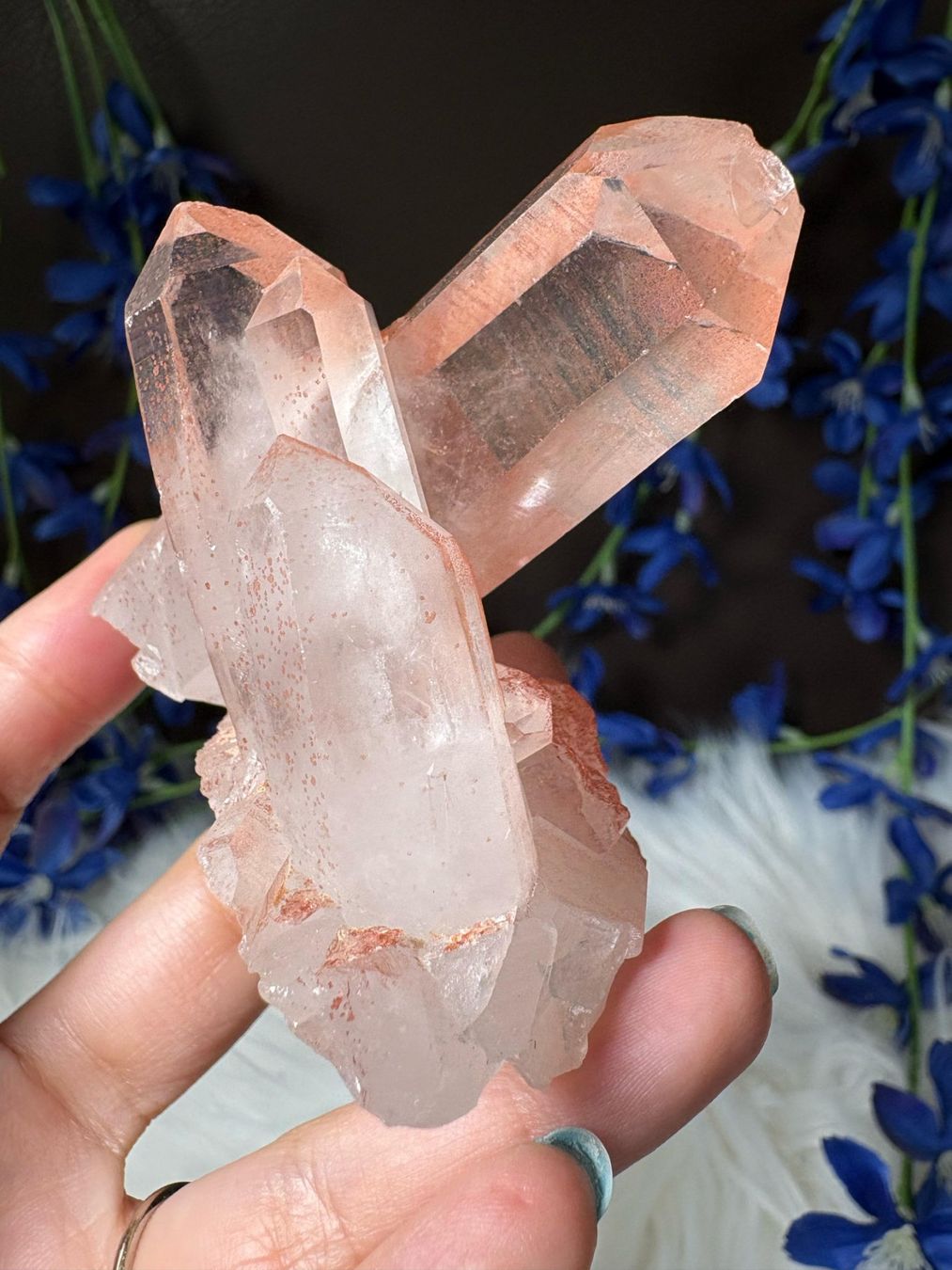 Minerali & Pietre curative: Rosa Quarz-Cluster – Nuovo (secondo la descrizione) da Neuheim venduto da m.hald 4