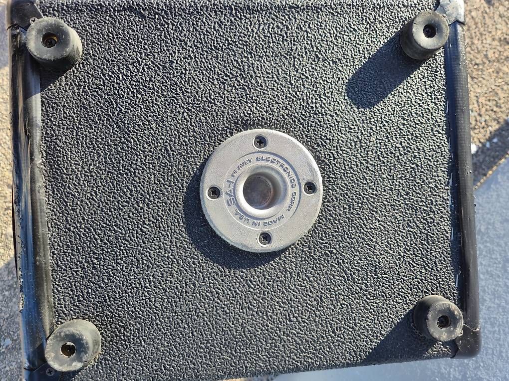 Haut-parleurs: Peavey ES-15 – D'occasion à Court par famille_schaer 4