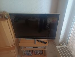 Metz TV für Bastler