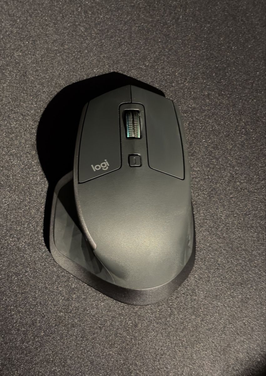 Logitech Maus: Logitech MX Master 2S – Gebraucht aus Gisikon von raphael-rsm