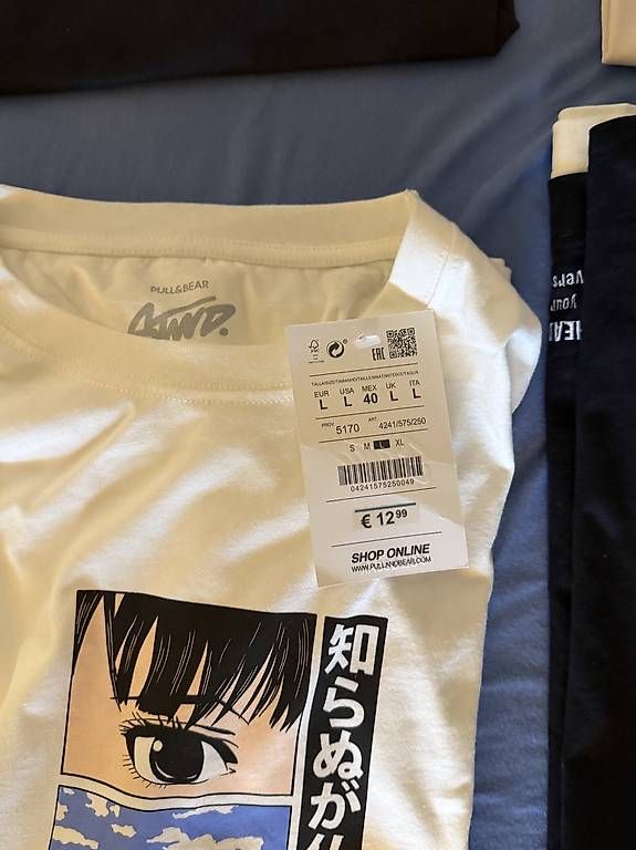 T-Shirts: 6 tshirts L size – Gebraucht aus Ascona von GioeleS 1