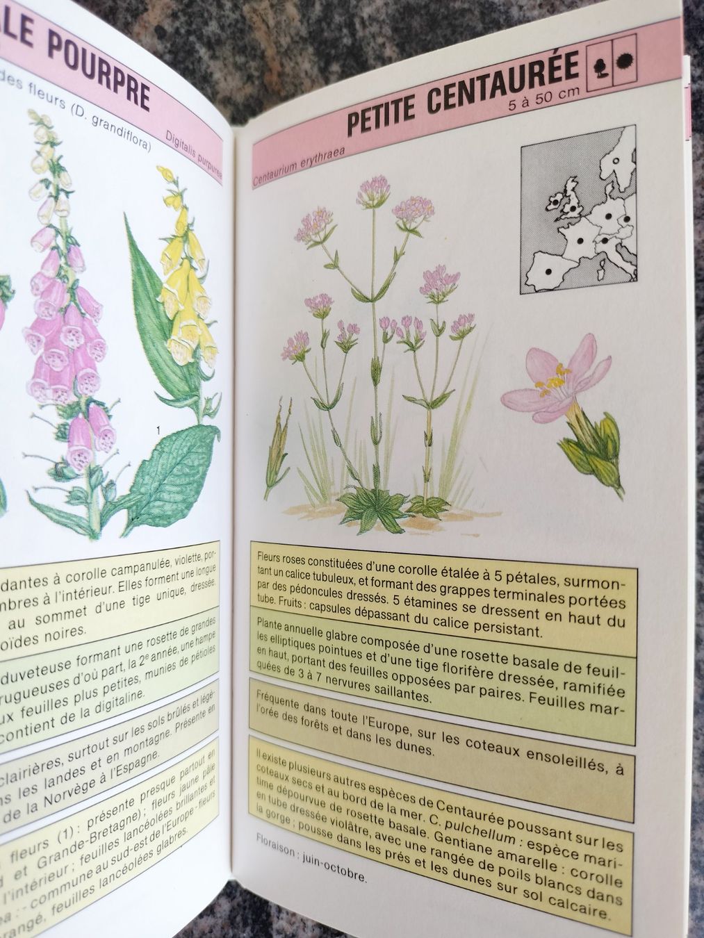 Bücher: Fleurs sauvages Gründ Nature - Poche – Gebraucht aus Cortaillod von rozinna 5