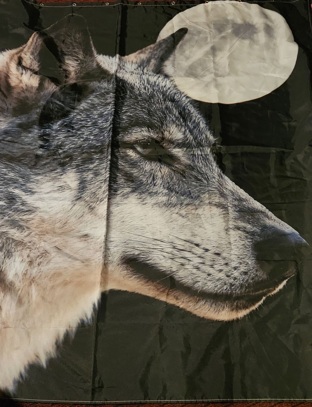 Douches: Duschvorhang Wolf – Neuf (Voir description) à Bonfol par mai_p9rx