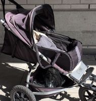Mountain Buggy Urban Jungle Kinderwagen 