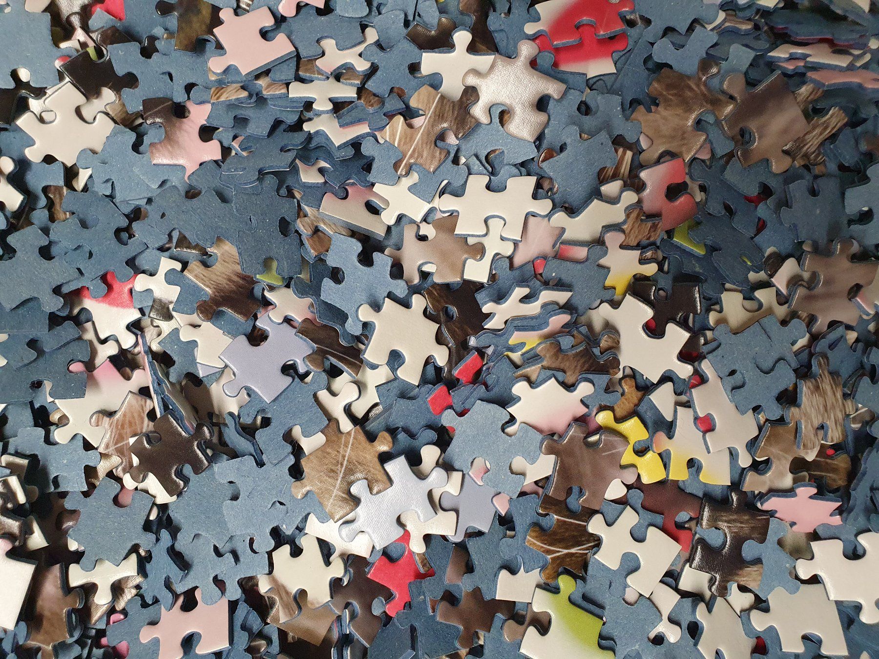 Ravensburger Puzzles: Ravensburger Puzzle 1000 Teile - Katze – D'occasion à Stilli par Mos1 2