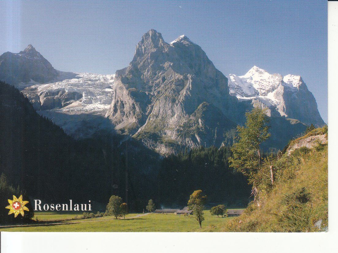 Ansichtskarten: Rosenlaui 2008 – Gebraucht aus Bürglen TG von StampGraf