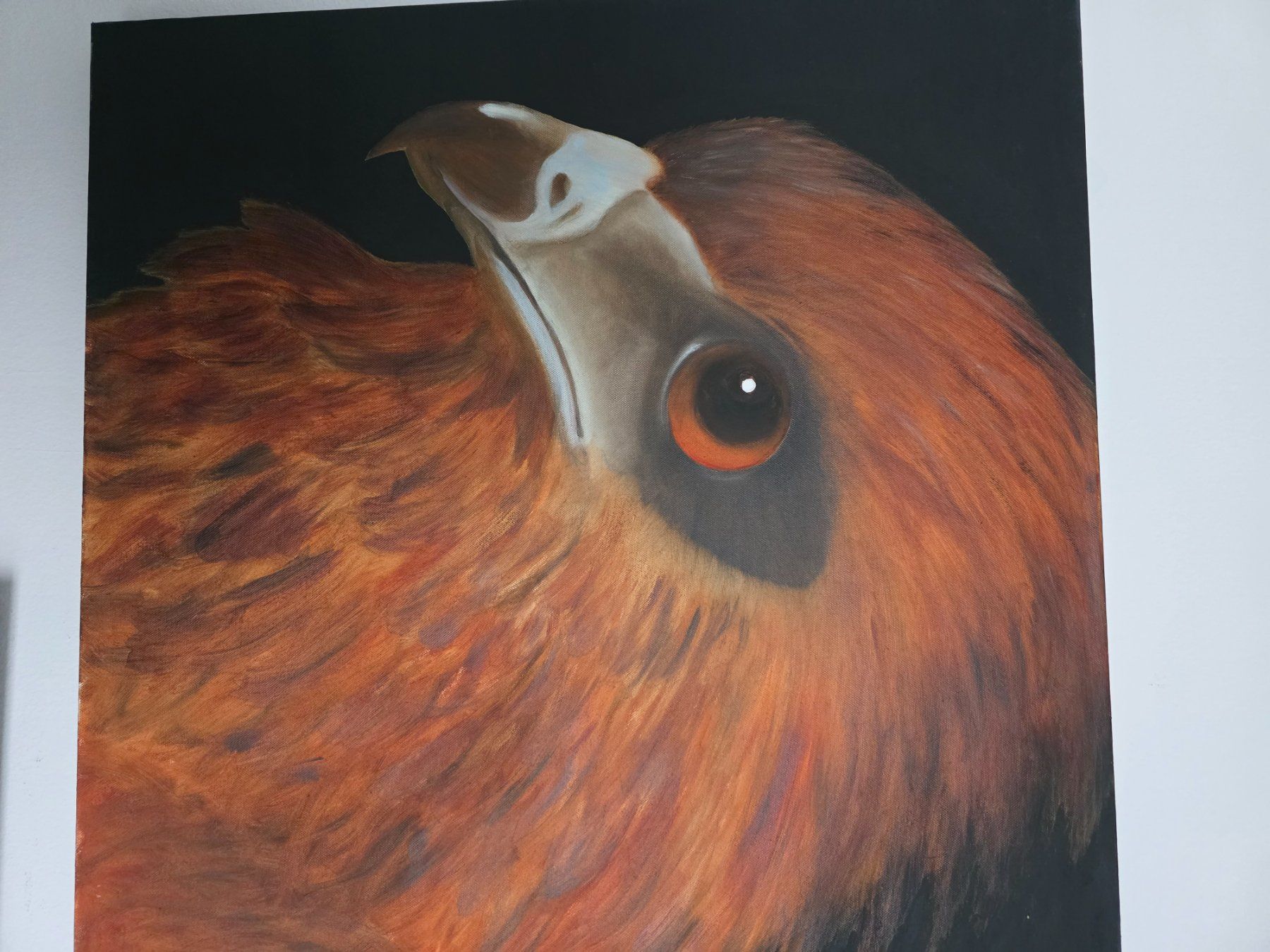 Gemälde: Acrylbild "Adler" – Gebraucht aus Einsiedeln von Cler61