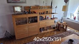 Wohnwand Holz, massiv mit Vitrine & Glas und Beleuchtung