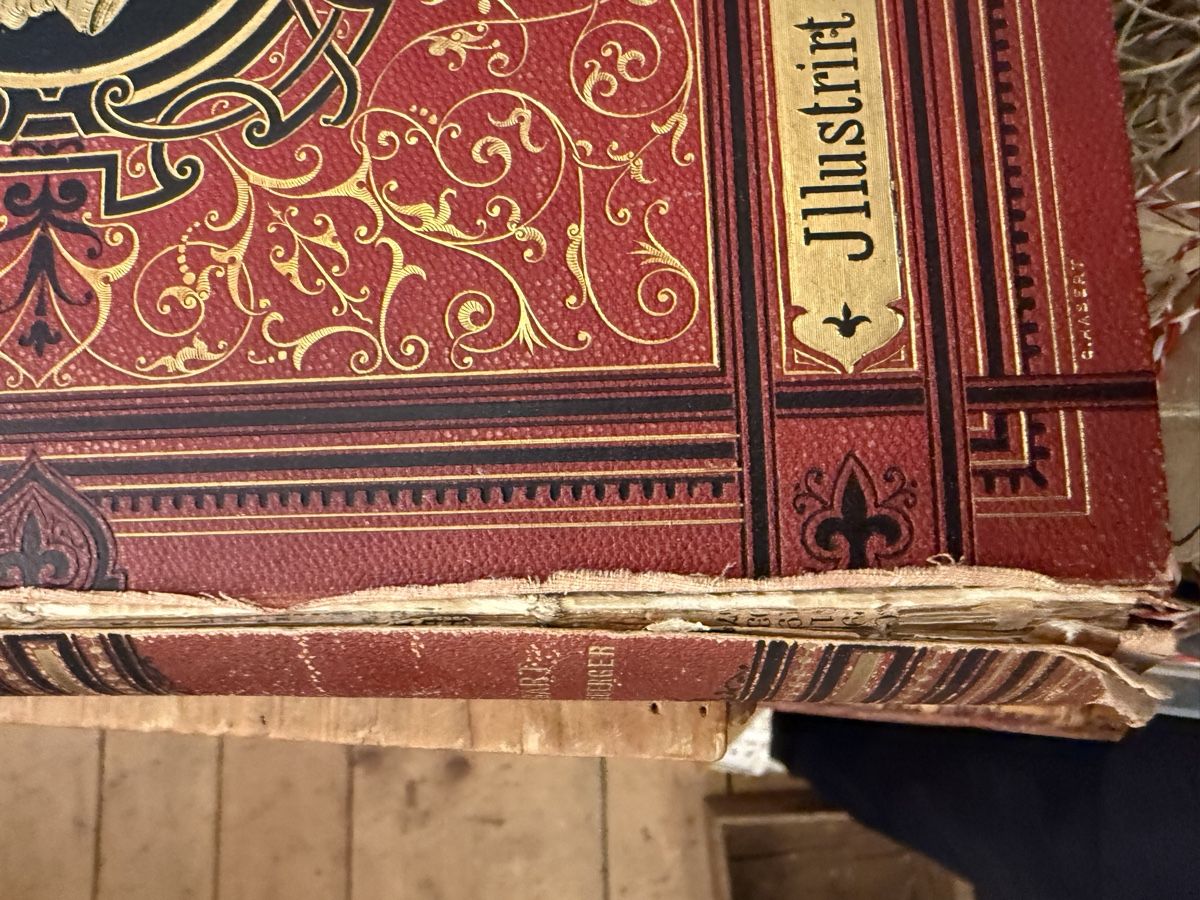 Libri: Shakespeare, Werke illustriert von John Gilbert – Usato da St. Gallen venduto da katercarlos 5