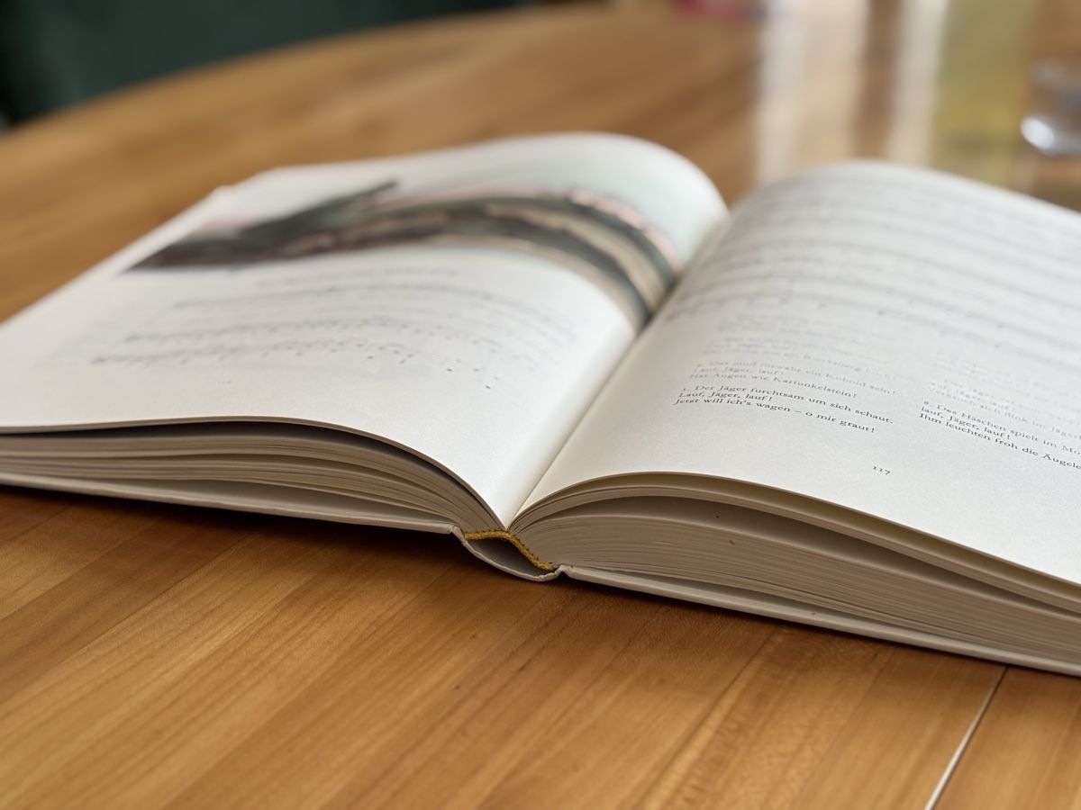 Libri: Das grosse Liederbuch - Anne Diekmann - Kinderlieder – Usato da Winterthur venduto da JAKU.SPACE 5