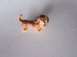 Hund 13