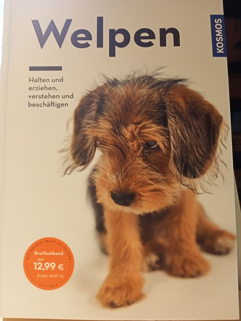Bücher: Welpen – Neu (gemäss Beschreibung) aus Oftringen von Myti