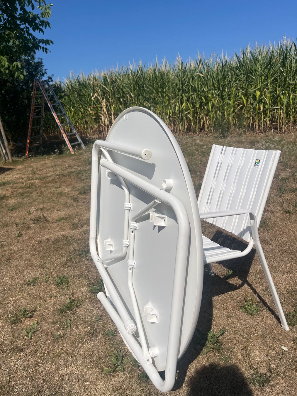 Tavoli: Gartentisch und 4 Stühle Stappelbar – Usato da Allmendingen b. BE venduto da juair 3