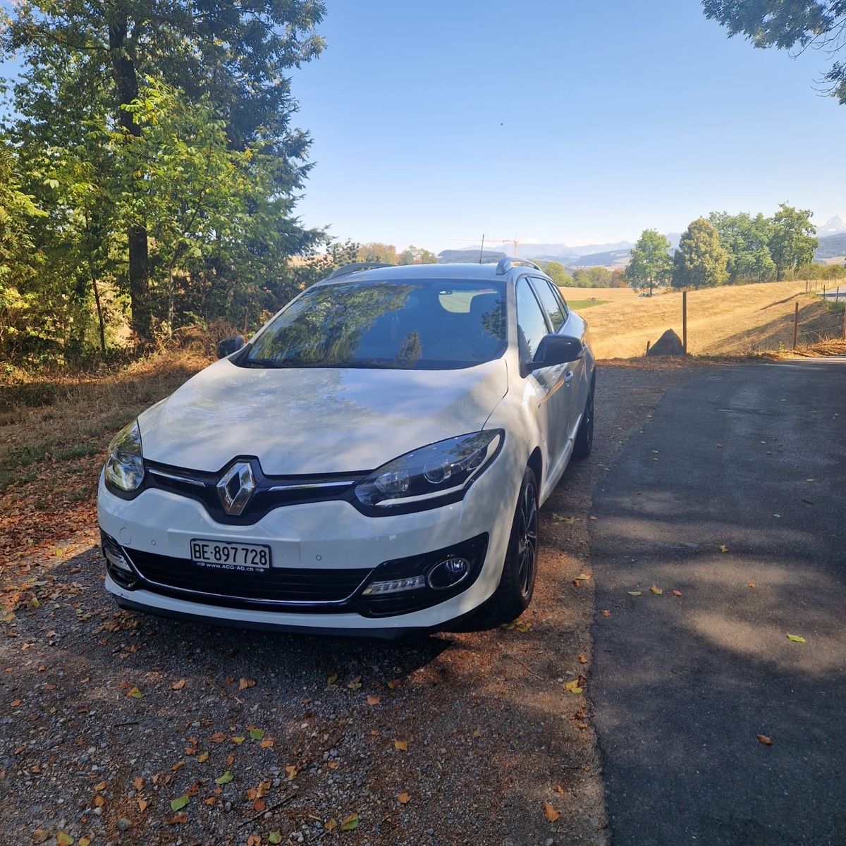Renault Automobili: RENAULT Megane 1.5 – Usato da Zollikofen venduto da nha_825x 3