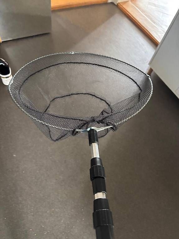Canne da pesca: Kescher für Barsche – Usato da Bern venduto da chanti-o 1