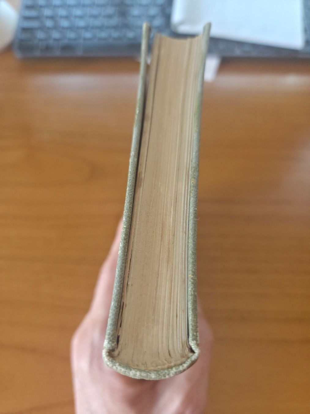 Libri: Zwemer: Missionslose Länder 1912 mit Karten – Usato da Aldesago venduto da lusuardi 3
