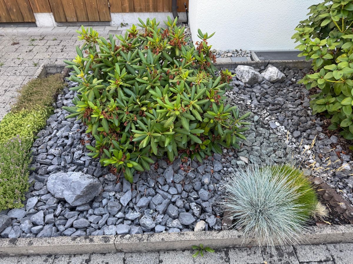 Steine & Dachziegeln: Gartensteine für Steingarten oder Steinmauer – Gebraucht aus Rümlang von hal_mr29 1