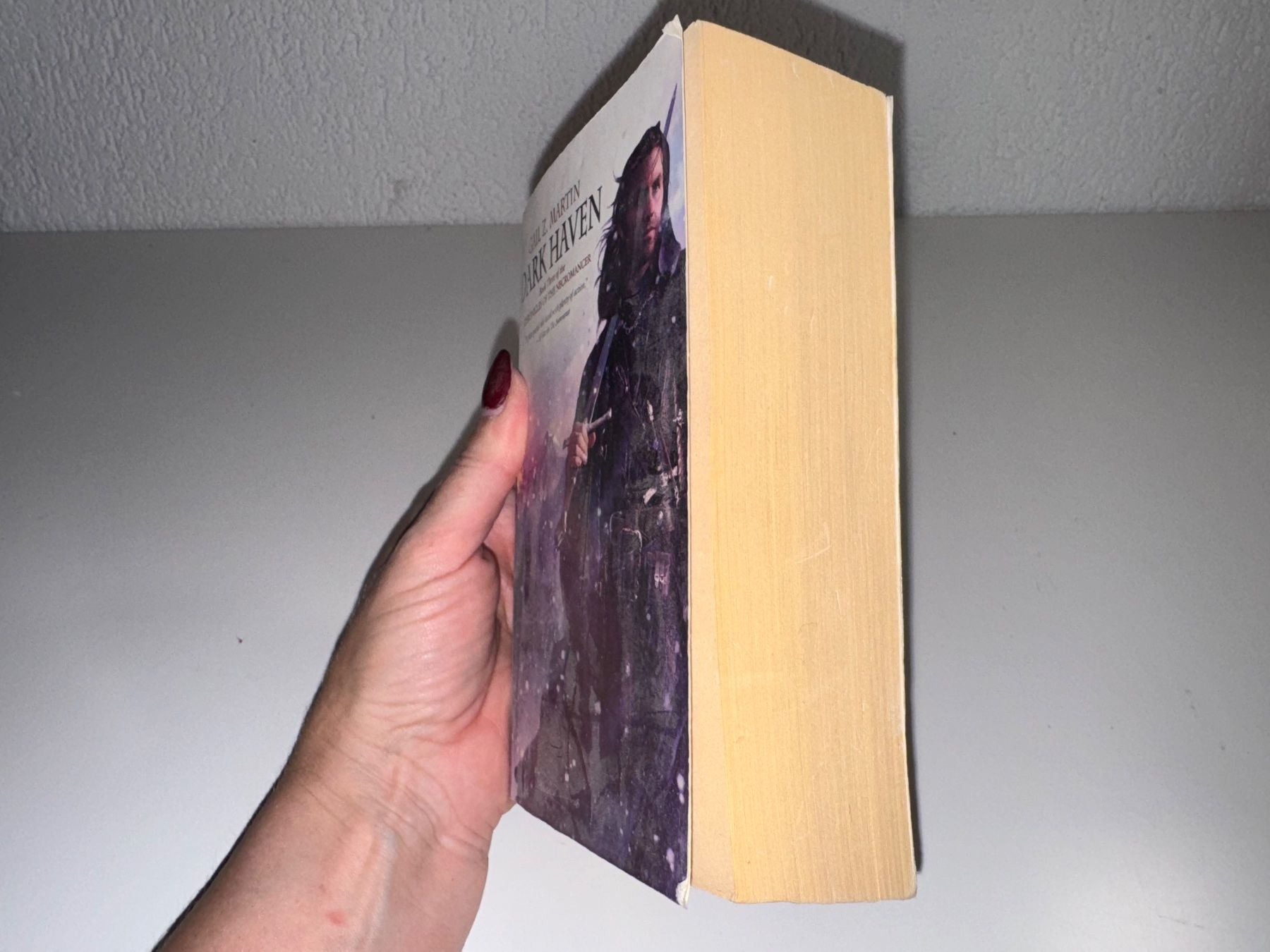 Libri: NOVEL: Gail Z. Martin, Dark haven – Usato da Grosswangen venduto da English_books 1