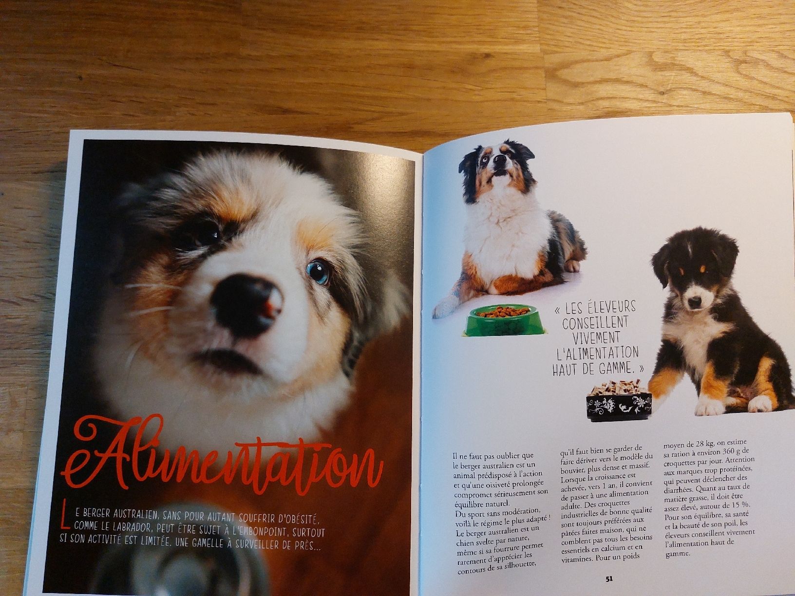 Libri: 2 Hunde-Ratgeber FR – Usato da Birgisch venduto da philking 2
