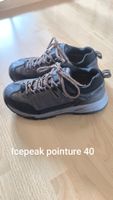 chaussures de marche Icepeak 40