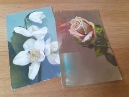 CHRIST- und ANDERE ROSEN - 1913 - PFLANZEN - BLUMEN