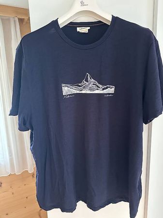 Icebreaker 150 Merinowolle Tshirt Herren 