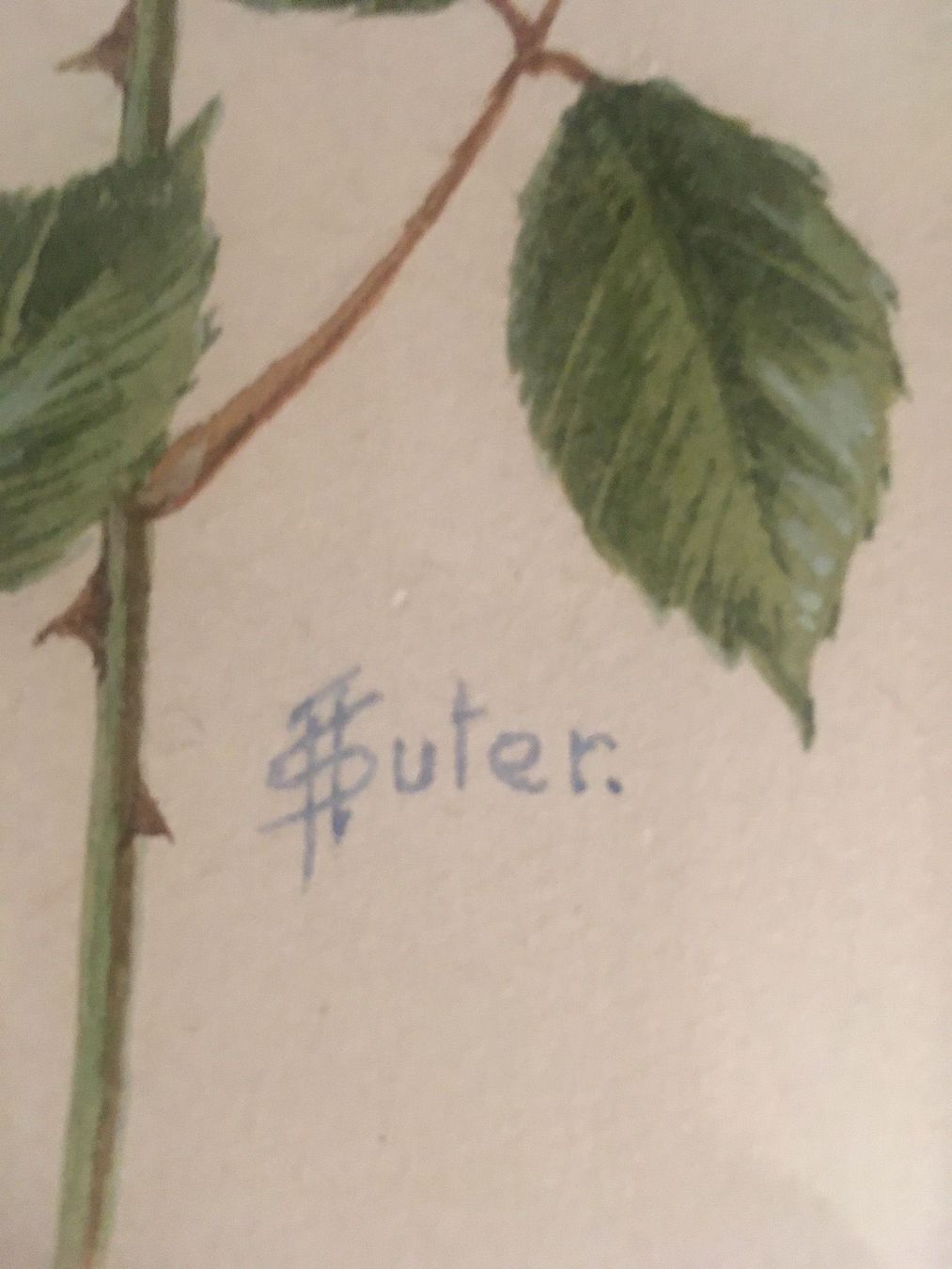 Dipinti: Aquarell Gelbe Rose – Usato da Oberrieden venduto da PEGNE 1