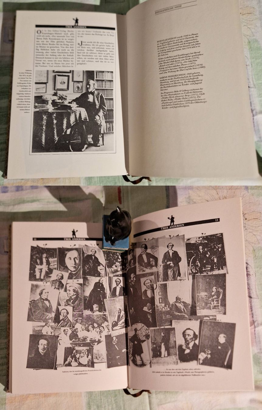 Libri: Mutter Holunder - 21 Märchen aus dem Teekessel H.C. Andersen – Usato da Zürich venduto da silver-team 8