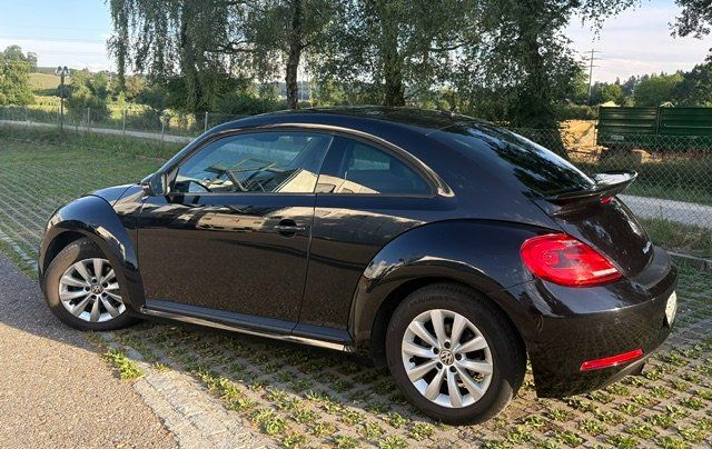 VW Automobili: VW New Beetle 1.2 TSI – Usato da Niederweningen venduto da kai12345 1