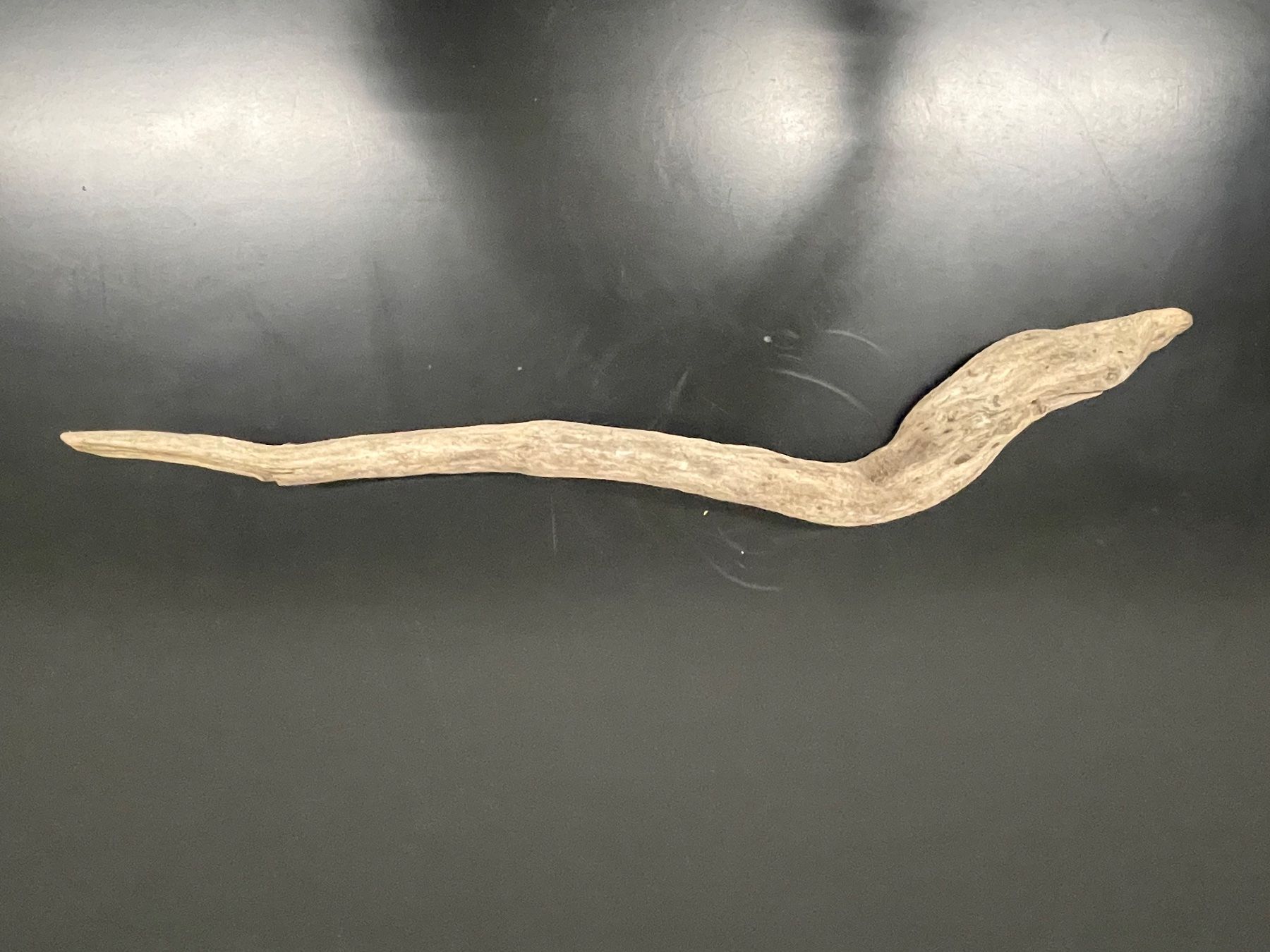 Tutte le decorazioni: Schwemmholz_Natur – Usato da Flawil venduto da Waldau1A 6